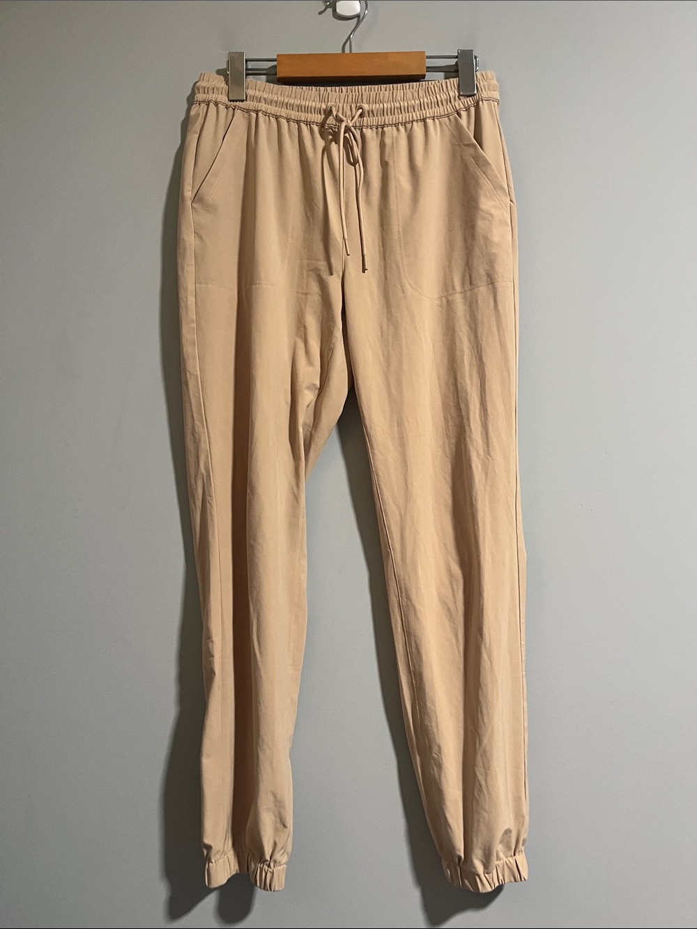 Aritzia The Constant Lightweight Joggers